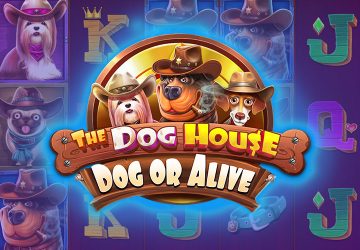 Microgaming - игровой автомат онлайн от Various с RTP 96.38%